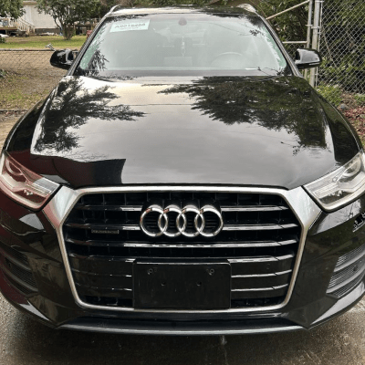 Car Waxing